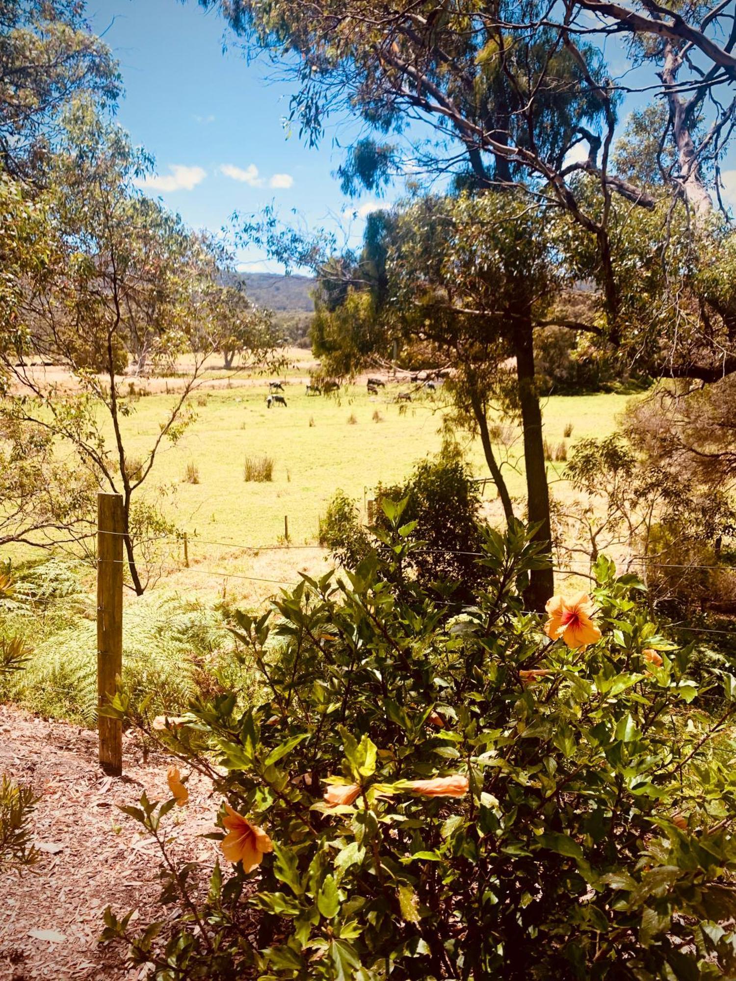 Spring Bay Villas, Denmark, Wa 외부 사진
